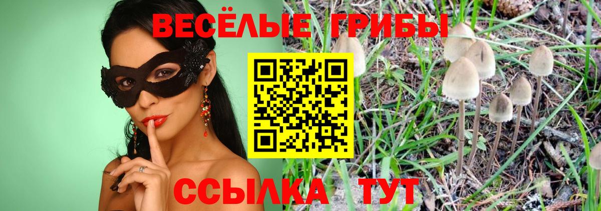 Галлюциногенные грибы MAGIC MUSHROOMS  Вход с VPN  Полевской 