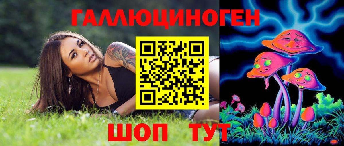 Псилоцибиновые грибы Psilocybe Полевской